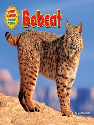 cover image of Bobcat